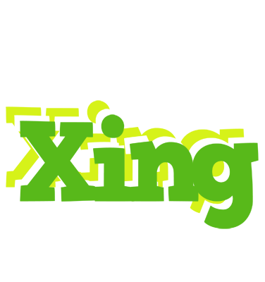 Xing picnic logo