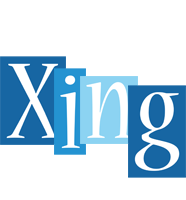 Xing winter logo