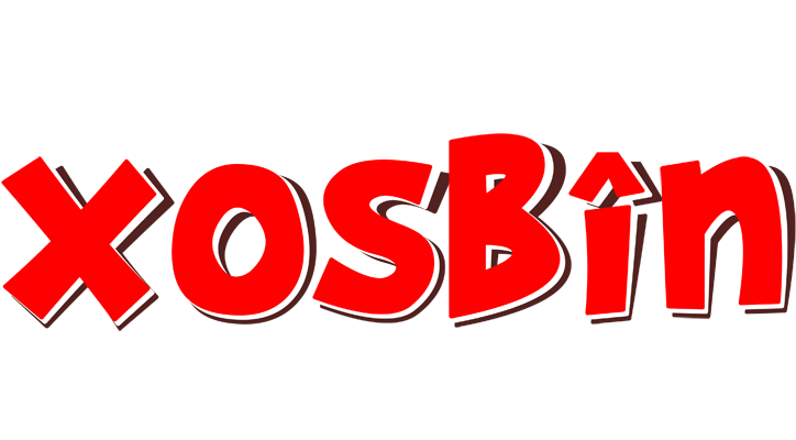 Xosbîn basket logo