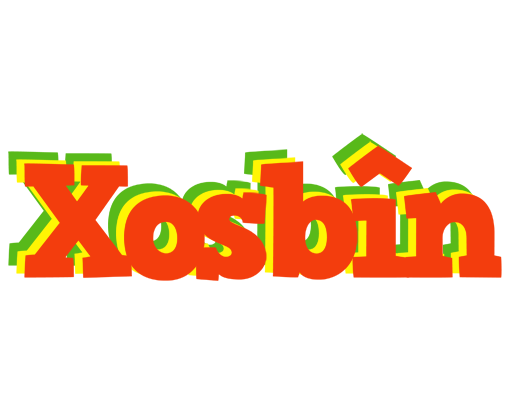 Xosbîn bbq logo
