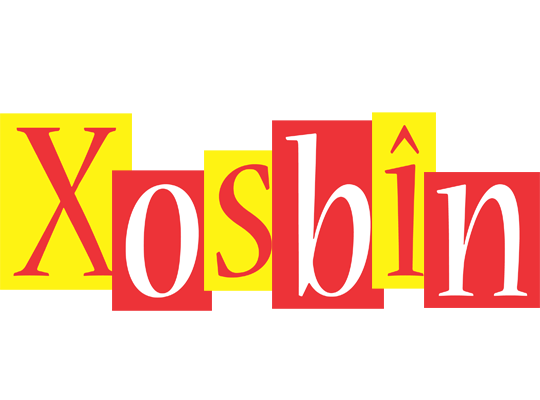 Xosbîn errors logo