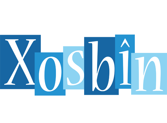 Xosbîn winter logo