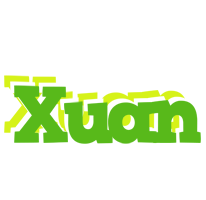 Xuan picnic logo