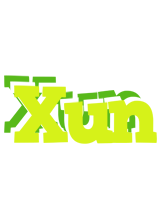 Xun citrus logo