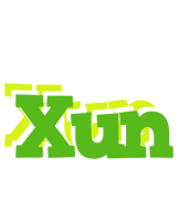 Xun picnic logo