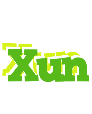 Xun picnic logo