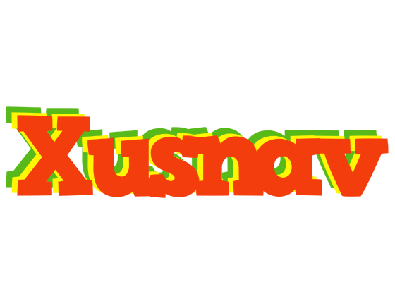 Xusnav bbq logo