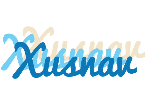Xusnav breeze logo