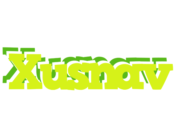 Xusnav citrus logo