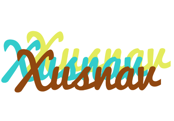 Xusnav cupcake logo