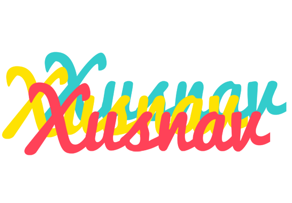 Xusnav disco logo