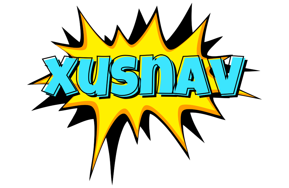 Xusnav indycar logo