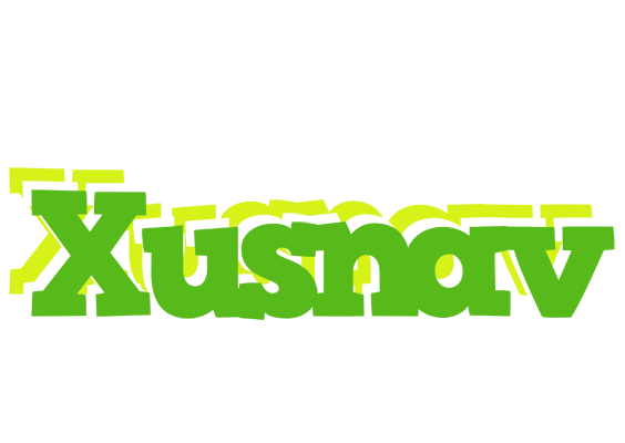 Xusnav picnic logo