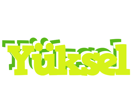 Yüksel citrus logo