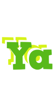 Ya picnic logo