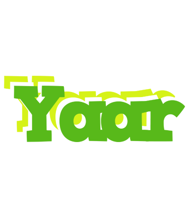 Yaar picnic logo