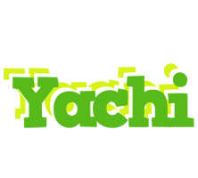 Yachi picnic logo