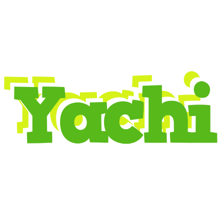 Yachi picnic logo
