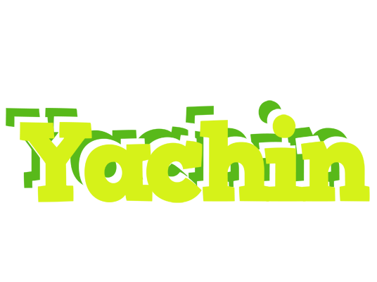 Yachin citrus logo