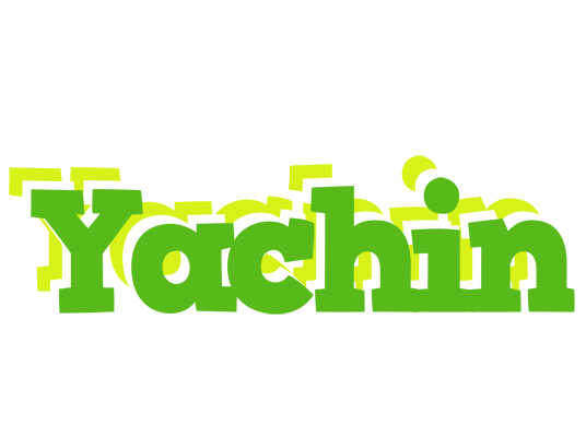 Yachin picnic logo