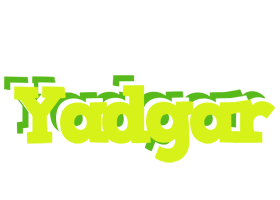 Yadgar citrus logo