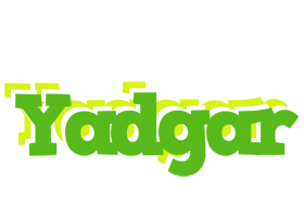 Yadgar picnic logo