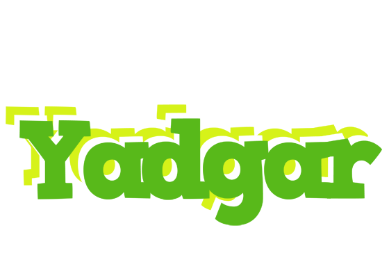 Yadgar picnic logo