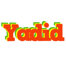 Yadid bbq logo