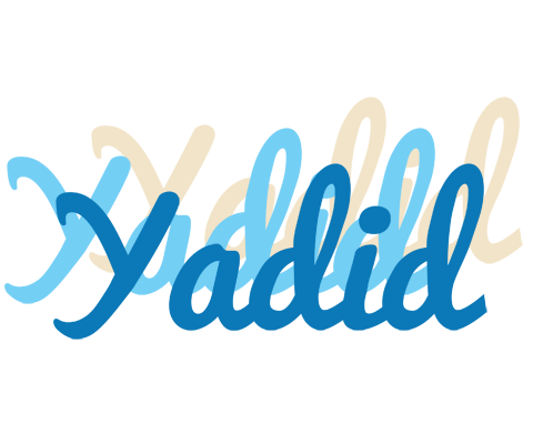 Yadid breeze logo