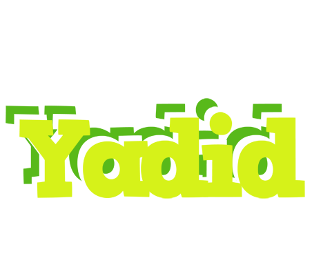 Yadid citrus logo