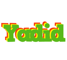 Yadid crocodile logo
