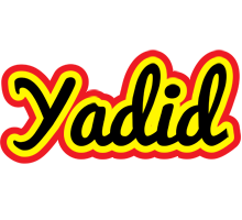 Yadid flaming logo