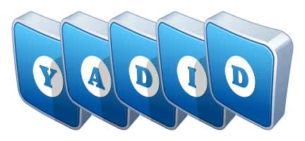 Yadid flippy logo