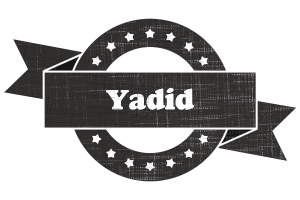 Yadid grunge logo