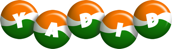 Yadid india logo