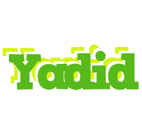 Yadid picnic logo