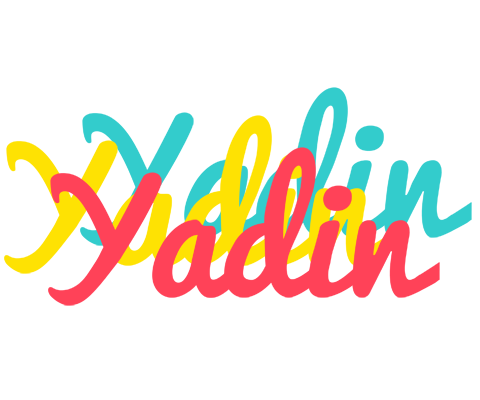 Yadin disco logo