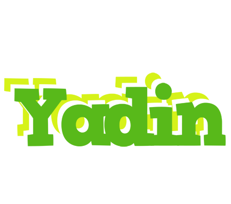 Yadin picnic logo