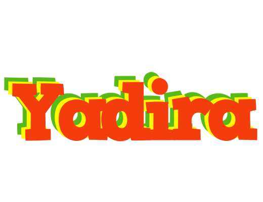 Yadira bbq logo