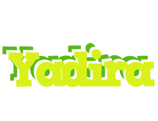 Yadira citrus logo