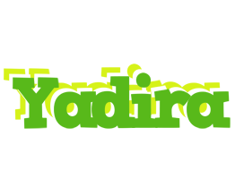 Yadira picnic logo