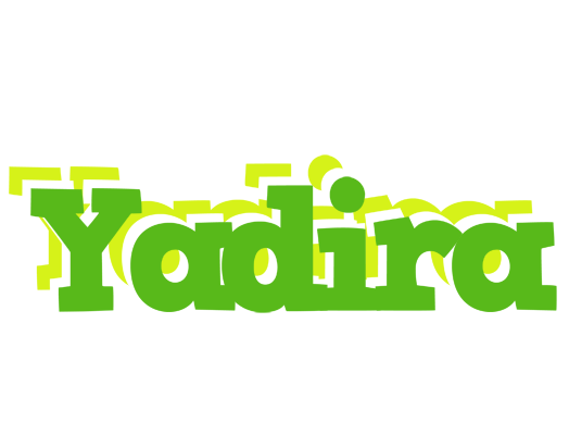 Yadira picnic logo