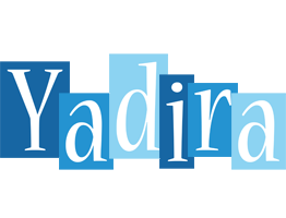 Yadira winter logo