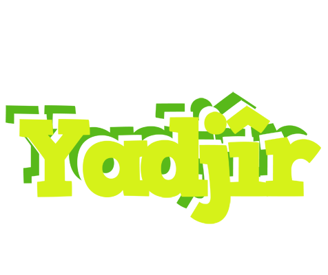 Yadjîr citrus logo