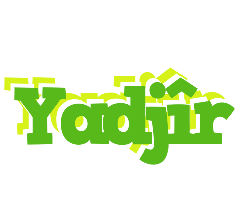 Yadjîr picnic logo