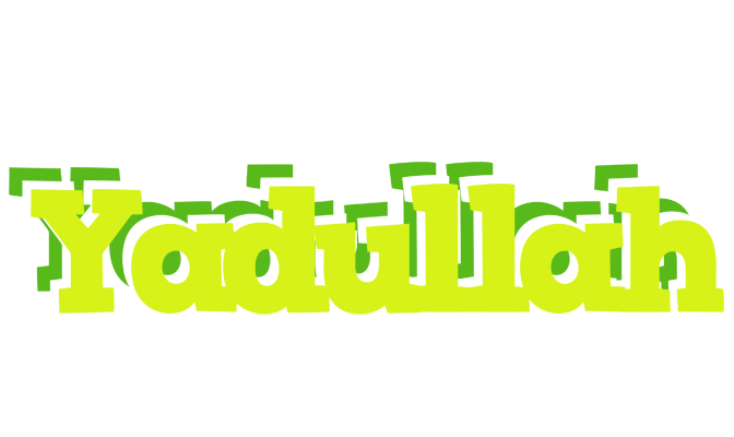 Yadullah citrus logo