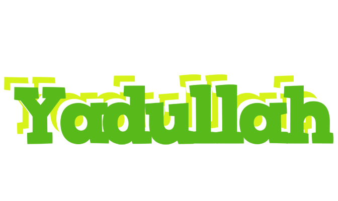 Yadullah picnic logo