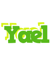 Yael picnic logo