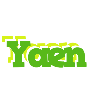 Yaen picnic logo