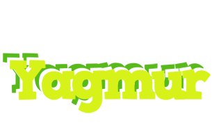 Yagmur citrus logo